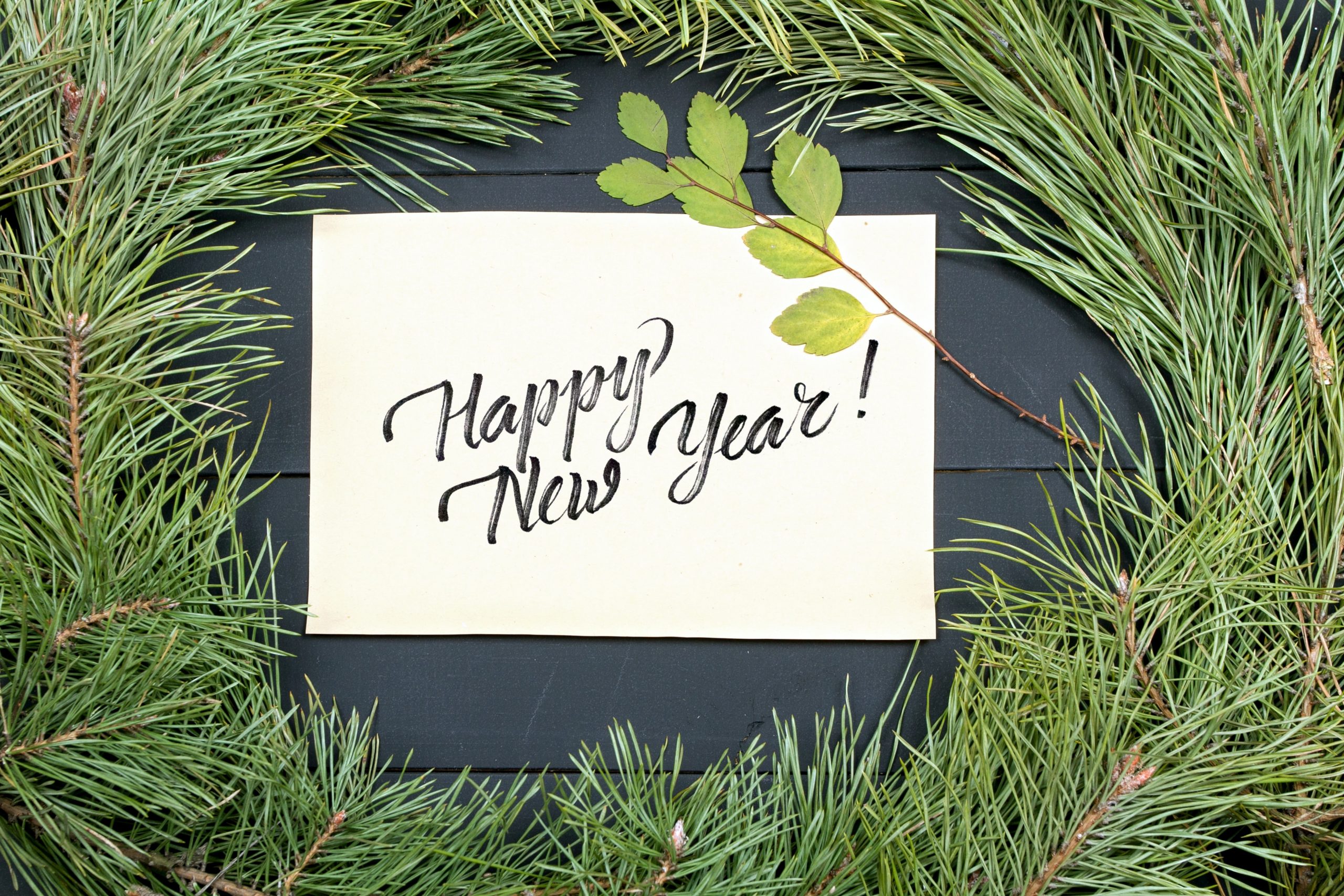 Happy New Year written out with greenery around it